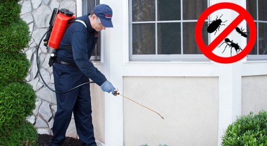 Kemeraltı Kemirgen İlaçlama böcek ilaçlama ve haşere kontrolü — ilaclama-tr.com